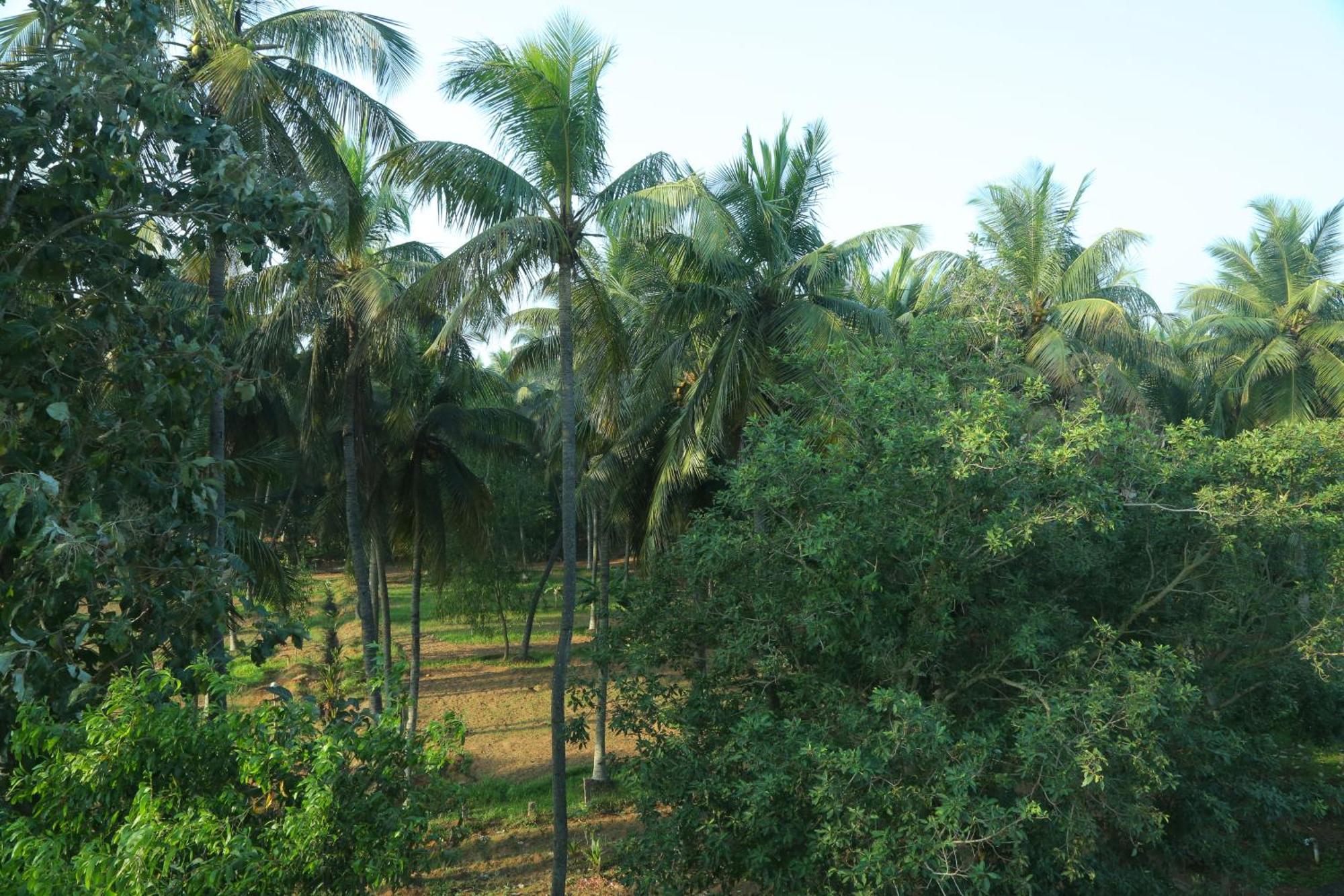 Misty Ocean - A Bergamont Group Of Hotel Kuilapalayam 외부 사진